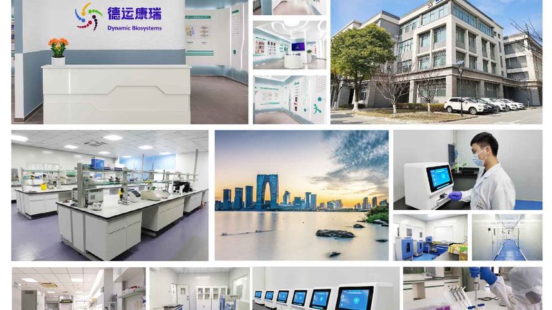 仿制药一致性评价：揭秘背后的技术挑战与行业趋势**