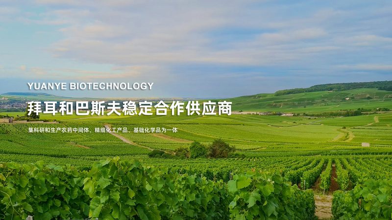 生物医药制剂代工合同中的关键考量因素**