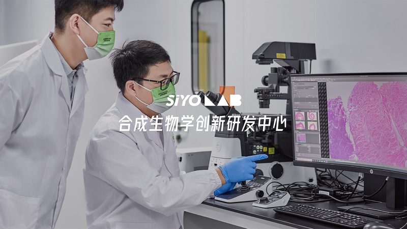 引物合成，揭秘行业排名靠前厂家的核心优势
