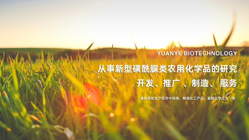 生物制品质量如何把关？揭秘优质厂家选择标准**