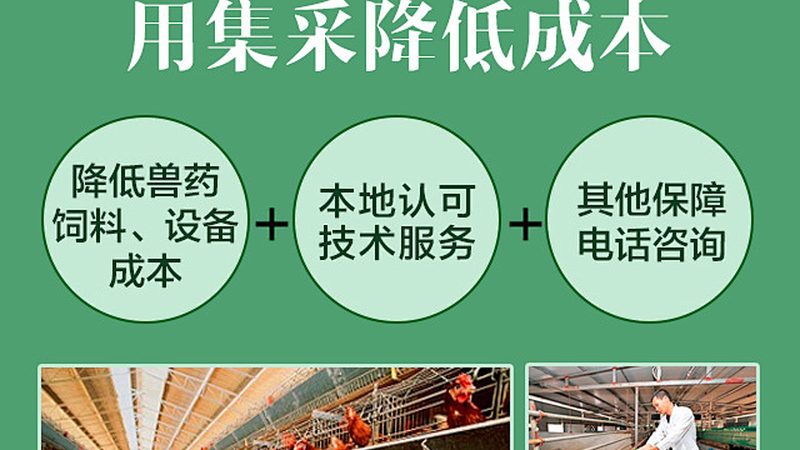 CDMO工艺流程：揭秘GMP规范下的制药奥秘