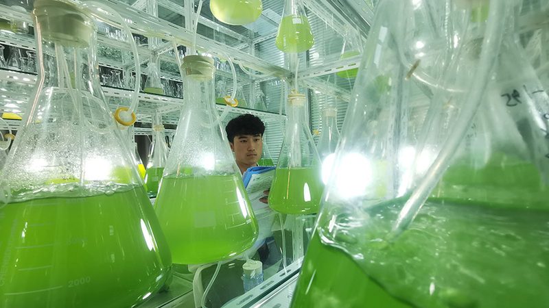 ELISA试剂盒分类揭秘：了解其适用场景，助力精准科研